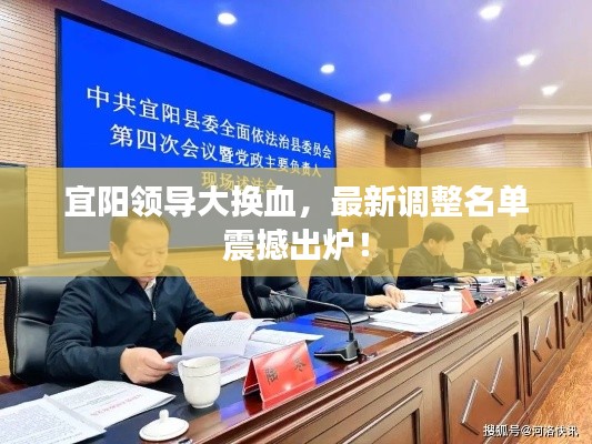 宜阳领导大换血，最新调整名单震撼出炉！