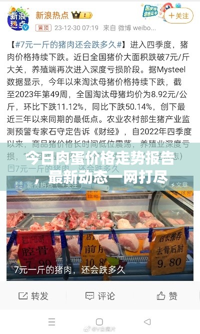 今日肉蛋价格走势报告，最新动态一网打尽