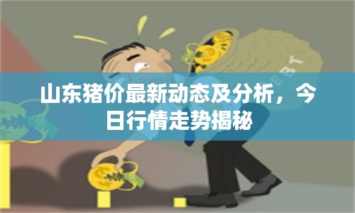 山东猪价最新动态及分析,今日行情走势揭秘