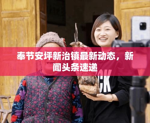 奉节安坪新治镇最新动态，新闻头条速递