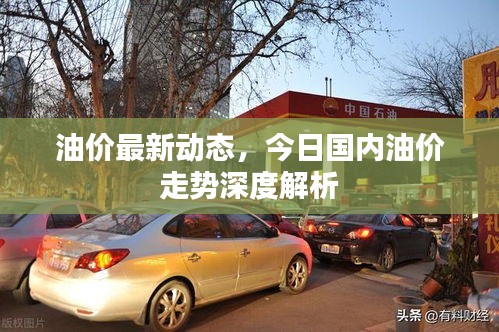 油价最新动态，今日国内油价走势深度解析