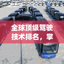 全球顶级驾驶技术排名，掌握最佳驾驶之道！