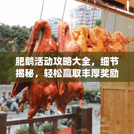 肥鹅活动攻略大全，细节揭秘，轻松赢取丰厚奖励！
