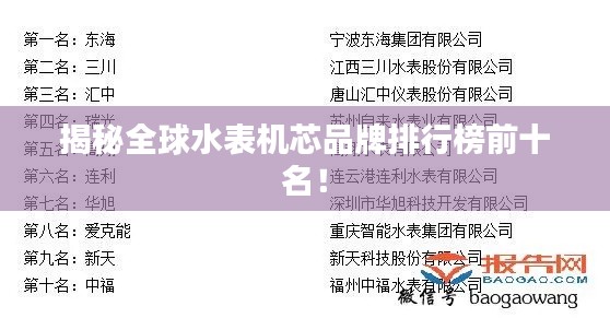 揭秘全球水表机芯品牌排行榜前十名！