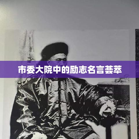 市委大院中的励志名言荟萃