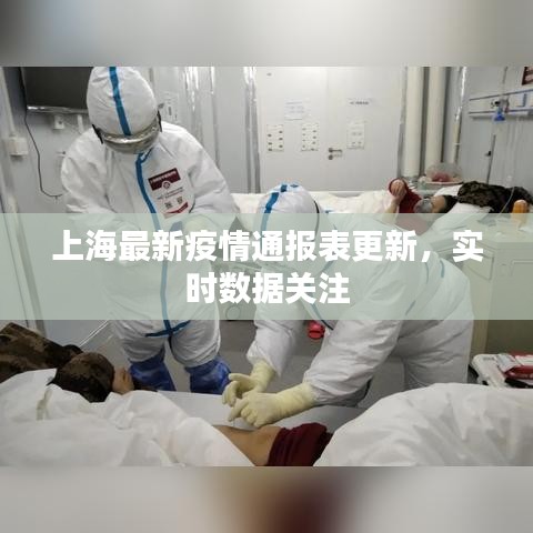 上海最新疫情通报表更新,实时数据关注