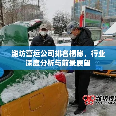 潍坊营运公司排名揭秘，行业深度分析与前景展望