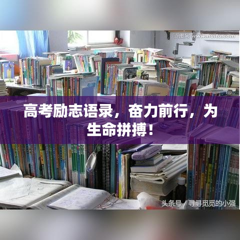 高考励志语录,奋力前行,为生命拼搏!