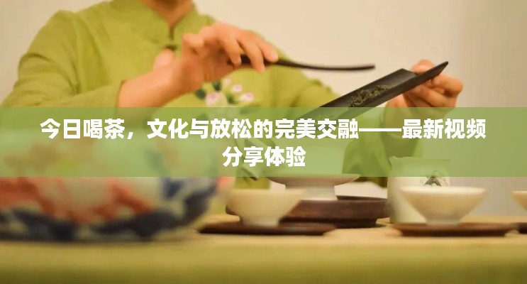今日喝茶,文化与放松的完美交融——最新视频分享体验
