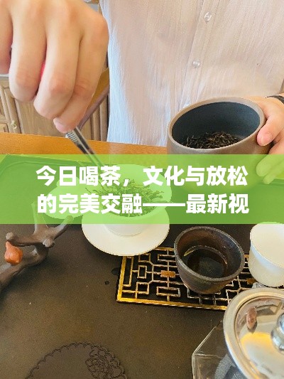 今日喝茶,文化与放松的完美交融——最新视频分享体验