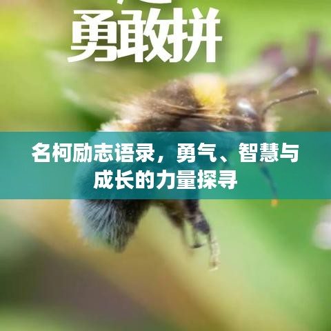 名柯励志语录,勇气、智慧与成长的力量探寻