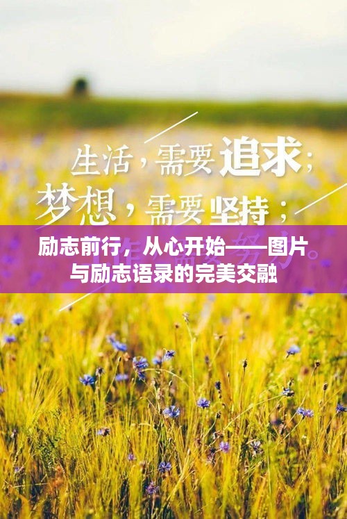 励志前行，从心开始——图片与励志语录的完美交融