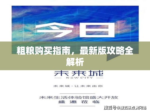 粗粮购买指南，最新版攻略全解析