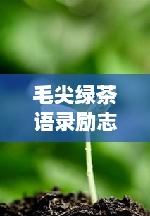 毛尖绿茶语录励志，品味人生，汲取力量！
