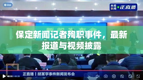 保定新闻记者殉职事件,最新报道与视频披露