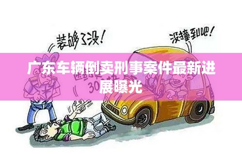 广东车辆倒卖刑事案件最新进展曝光