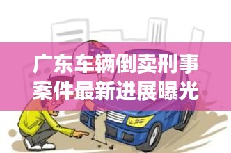 广东车辆倒卖刑事案件最新进展曝光