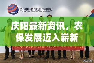 庆阳最新资讯，农保发展迈入崭新篇章