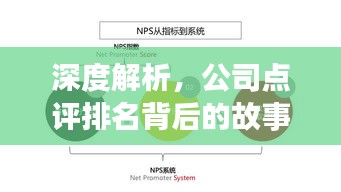 深度解析,公司点评排名背后的故事与启示