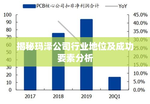 揭秘玛泽公司行业地位及成功要素分析