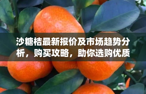 沙糖桔最新报价及市场趋势分析，购买攻略，助你选购优质果品！