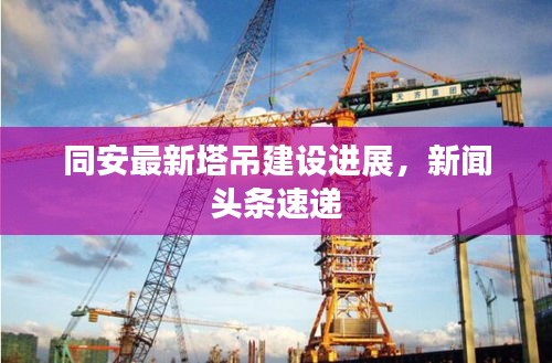 同安最新塔吊建设进展，新闻头条速递