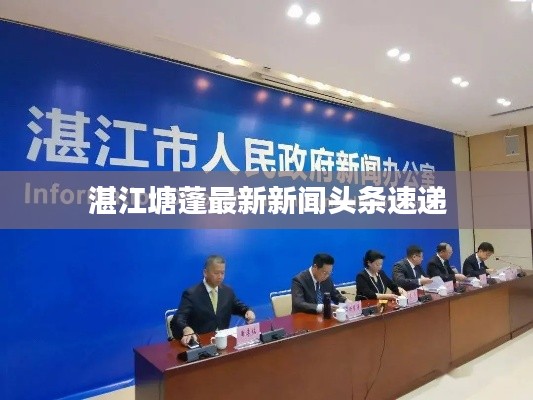 湛江塘蓬最新新闻头条速递