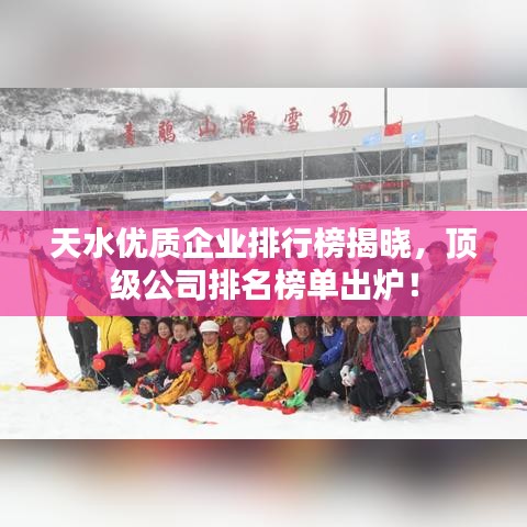 天水优质企业排行榜揭晓，顶级公司排名榜单出炉！