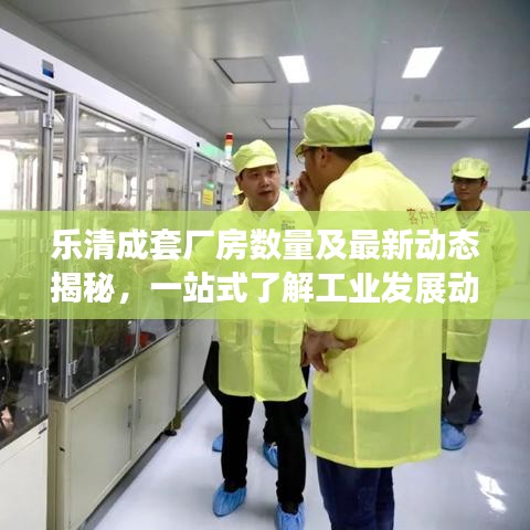 乐清成套厂房数量及最新动态揭秘，一站式了解工业发展动态