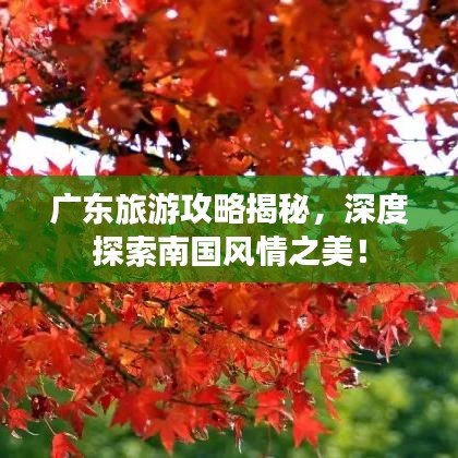 广东旅游攻略揭秘，深度探索南国风情之美！