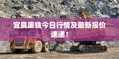 宜良废铁今日行情及最新报价速递！