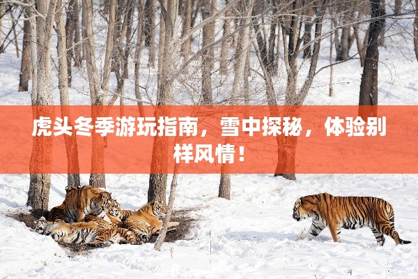 虎头冬季游玩指南,雪中探秘,体验别样风情!