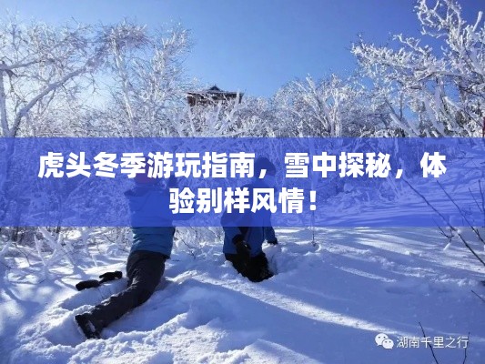 虎头冬季游玩指南,雪中探秘,体验别样风情!
