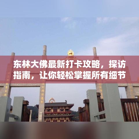东林大佛最新打卡攻略,探访指南,让你轻松掌握所有细节!
