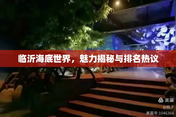 临沂海底世界，魅力揭秘与排名热议