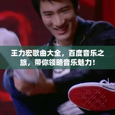 王力宏歌曲大全,百度音乐之旅,带你领略音乐魅力!