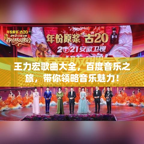 王力宏歌曲大全,百度音乐之旅,带你领略音乐魅力!