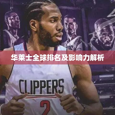 华莱士全球排名及影响力解析