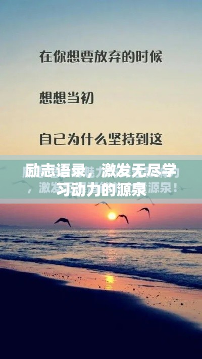 励志语录,激发无尽学习动力的源泉