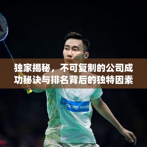 独家揭秘,不可复制的公司成功秘诀与排名背后的独特因素