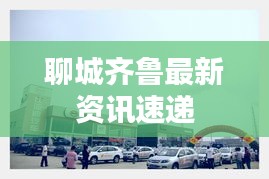 聊城齐鲁最新资讯速递