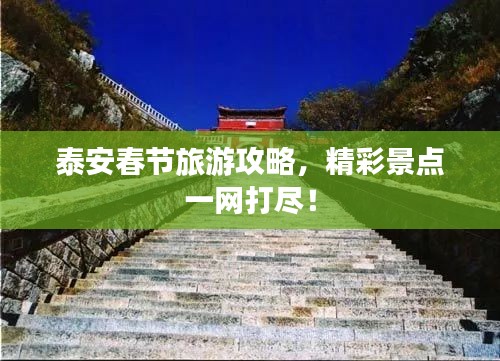 泰安春节旅游攻略,精彩景点一网打尽!