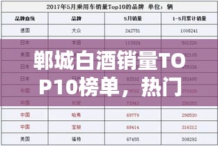 郸城白酒销量TOP10榜单,热门品牌一览