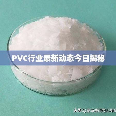 PVC行业最新动态今日揭秘