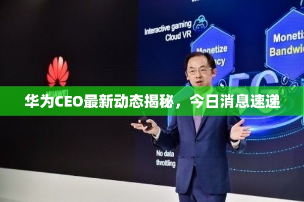 华为CEO最新动态揭秘,今日消息速递