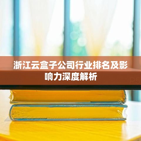浙江云盒子公司行业排名及影响力深度解析