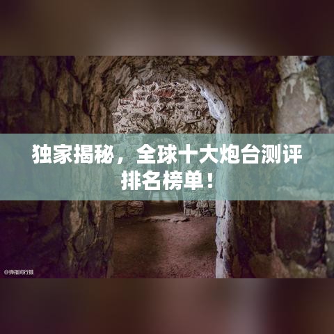 芳兰竟体 第2页