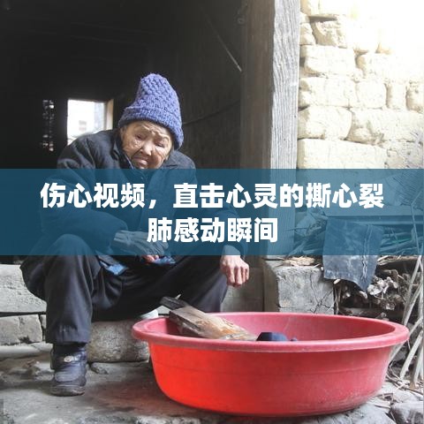 伤心视频，直击心灵的撕心裂肺感动瞬间