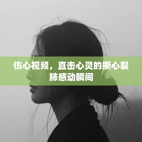 伤心视频,直击心灵的撕心裂肺感动瞬间