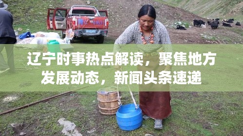 辽宁时事热点解读，聚焦地方发展动态，新闻头条速递